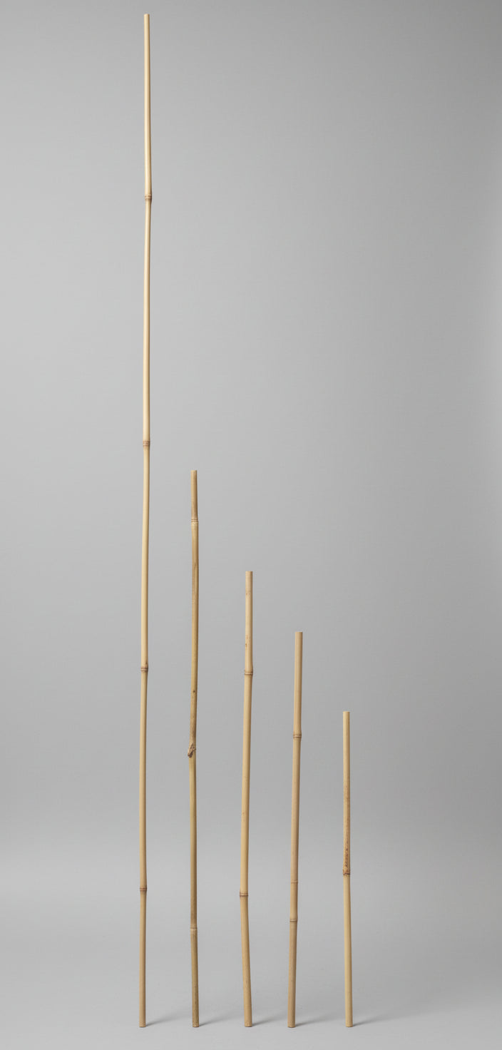 Bamboo Stake