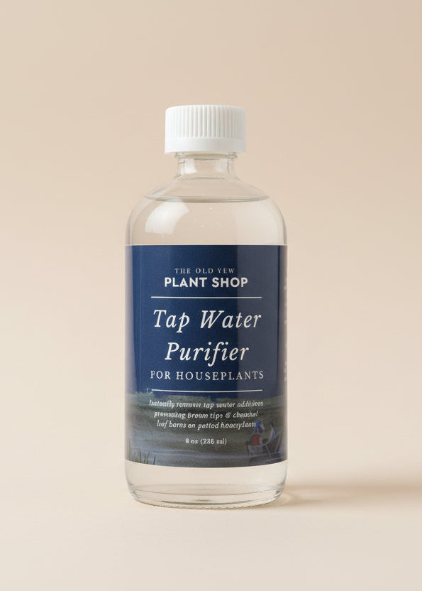 The Old Yew Tap Water Purifier