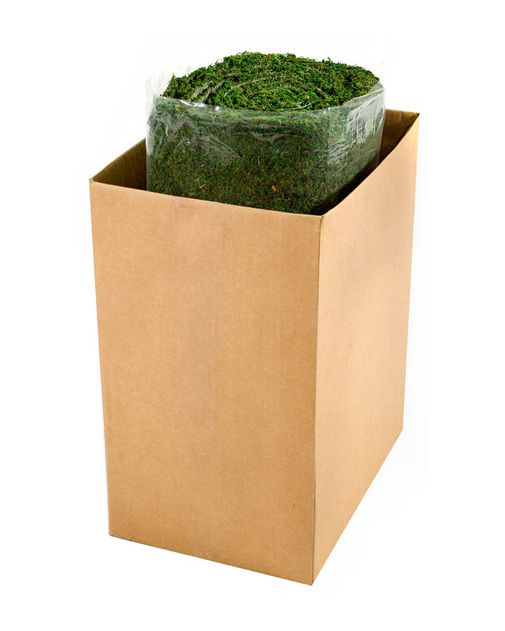 Instant Green Moss Mat