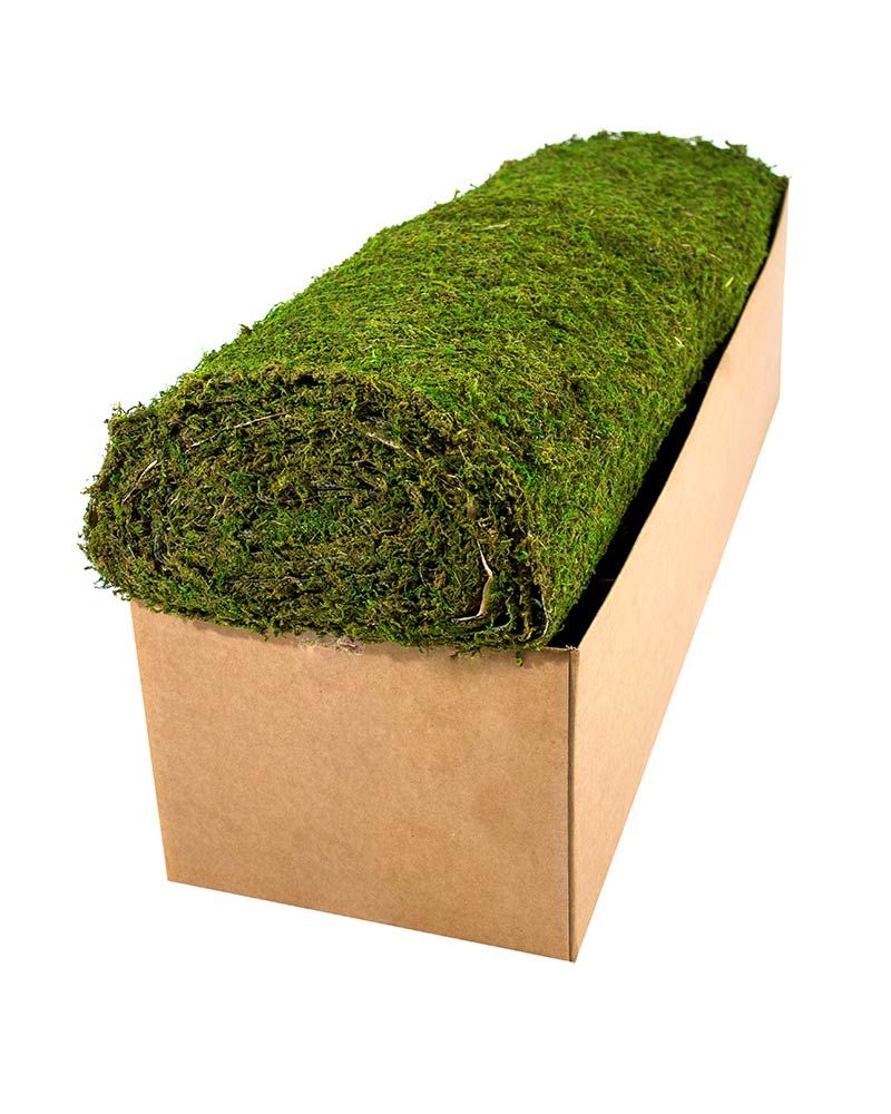 Instant Green Moss Mat
