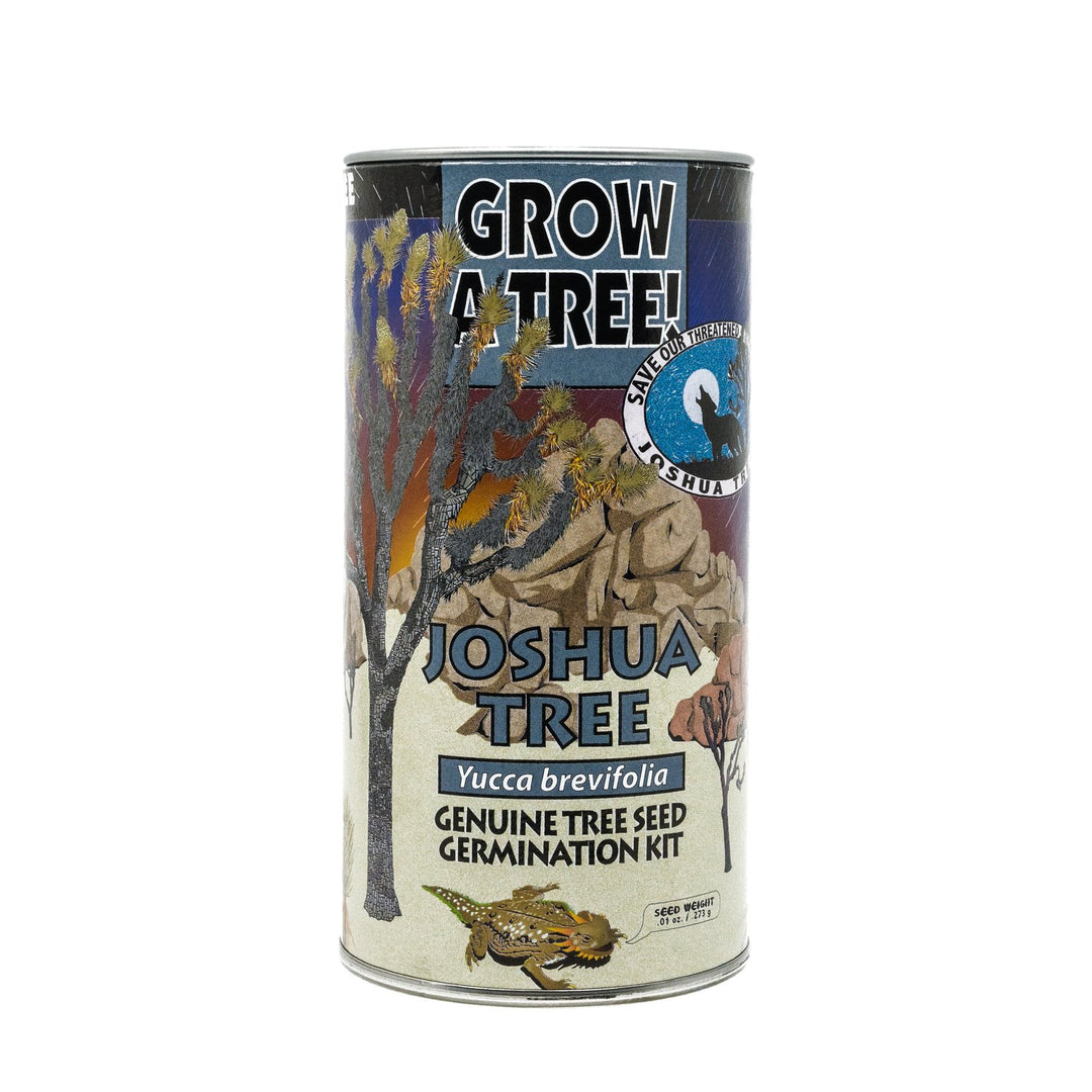 Joshua Tree Grow Kit