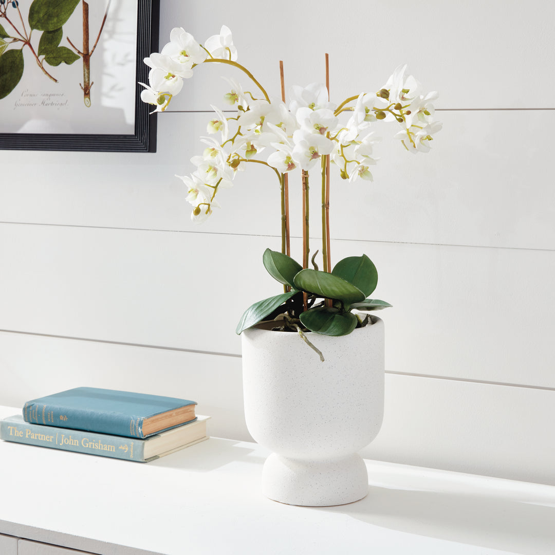 20" Faux Orchid - White