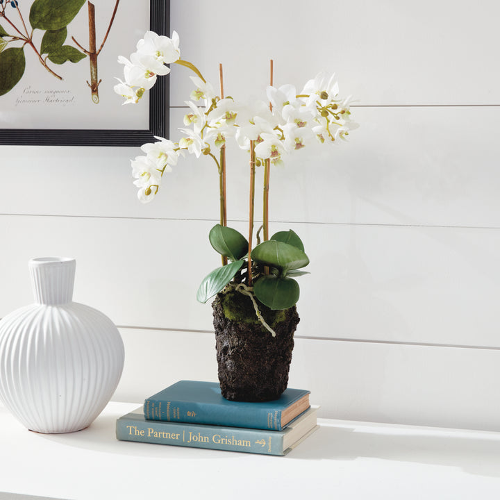 20" Faux Orchid - White