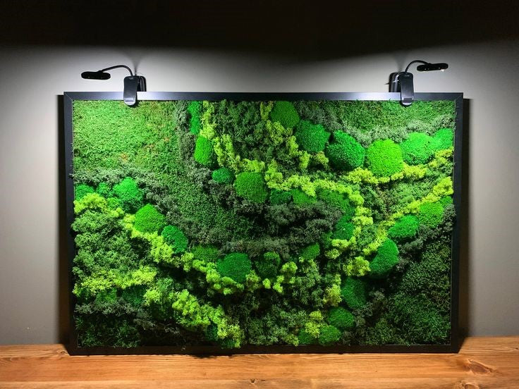 Custom Moss Wall