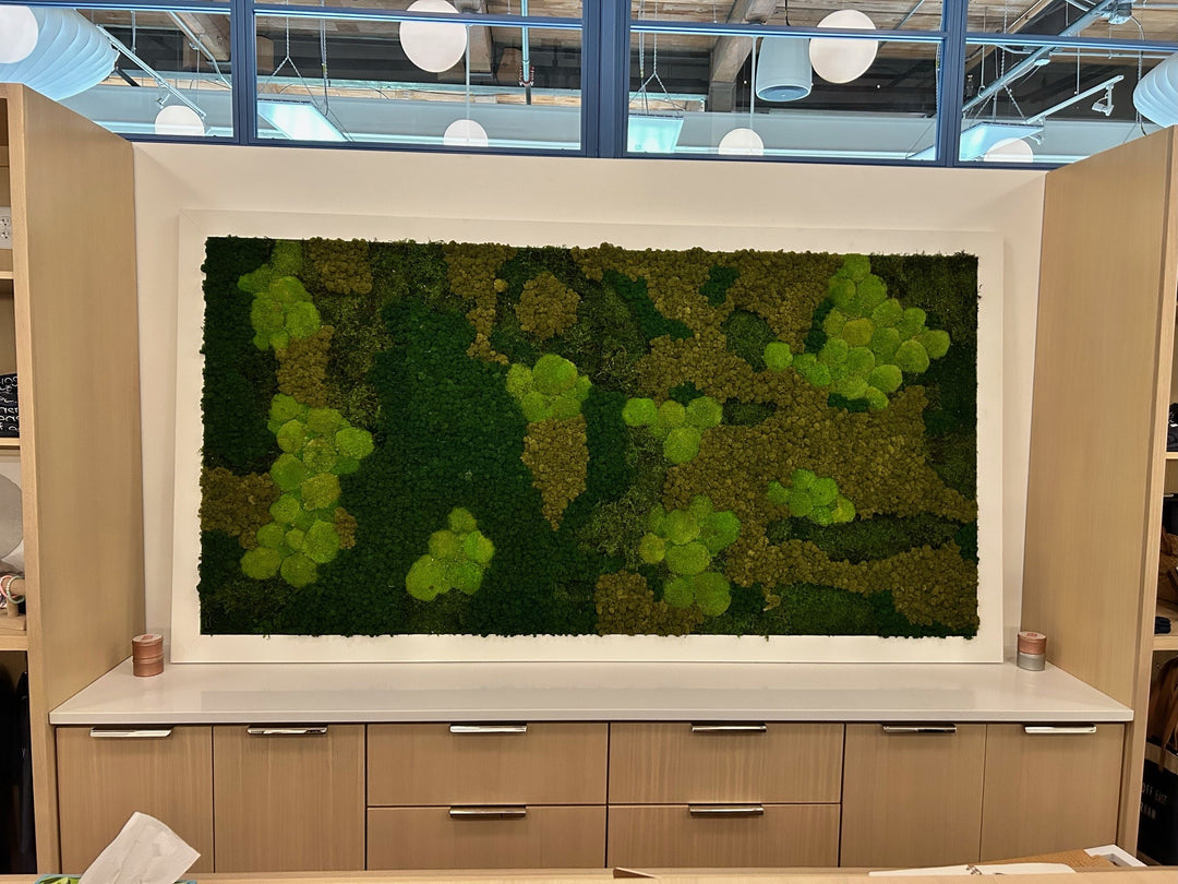 Custom Moss Wall
