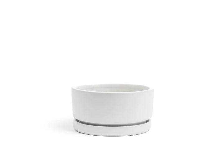 Low Bowl w/ Saucer
