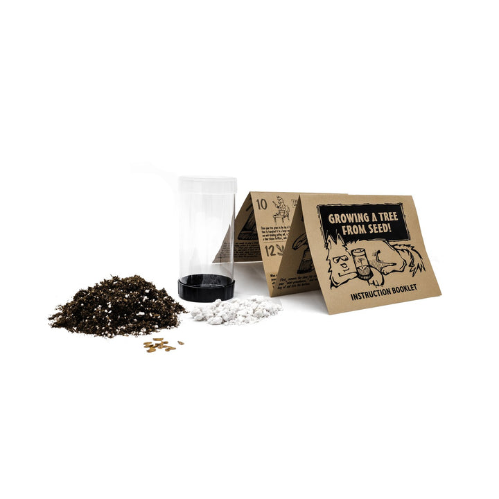 Bonsai Tree Grow Kit