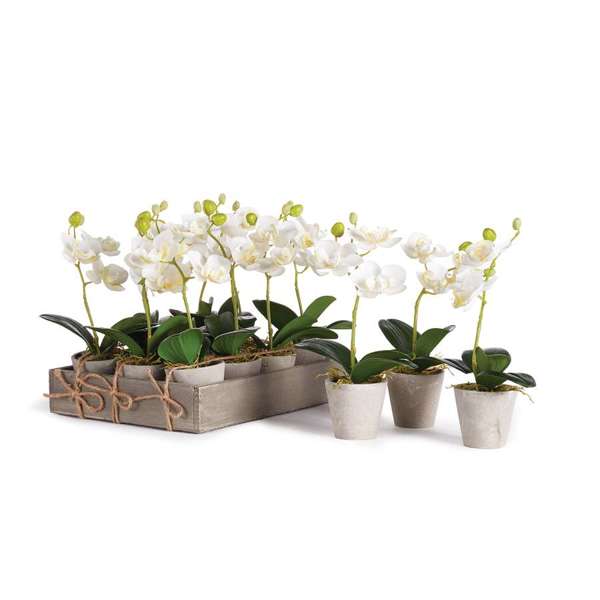 Faux Mini Orchids - Set of 12