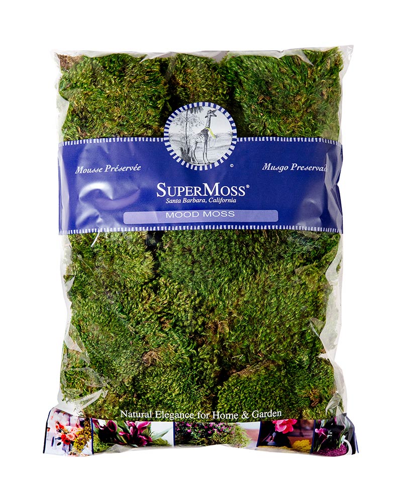 Preserved Mood Moss