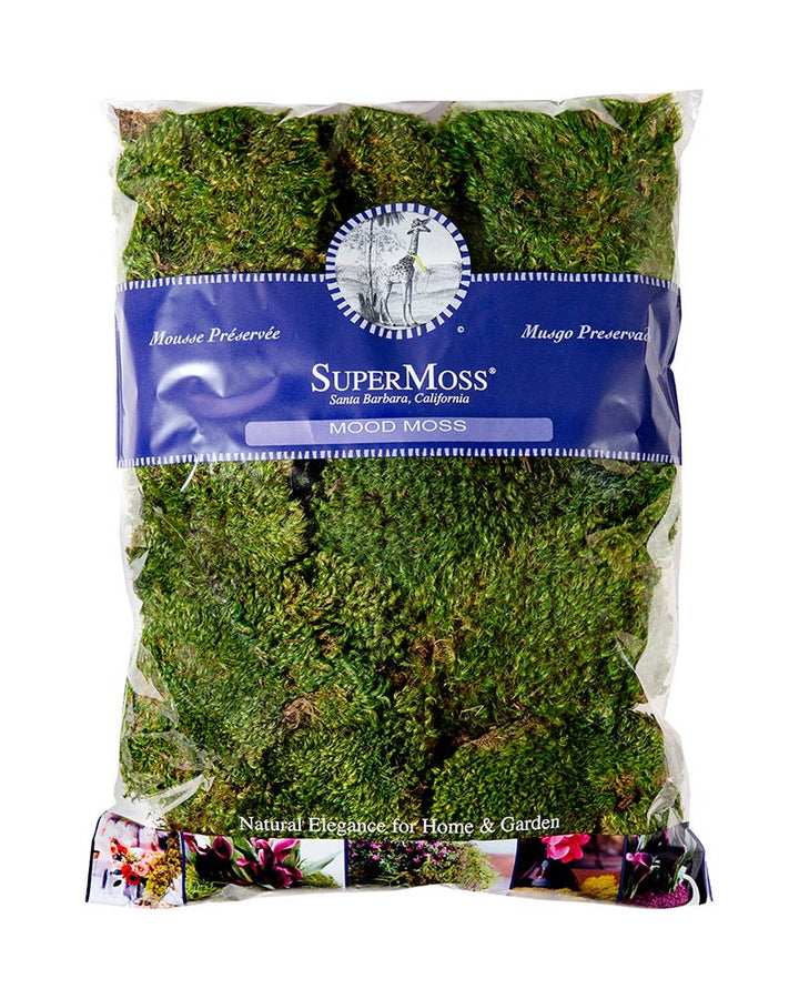 Preserved Mood Moss
