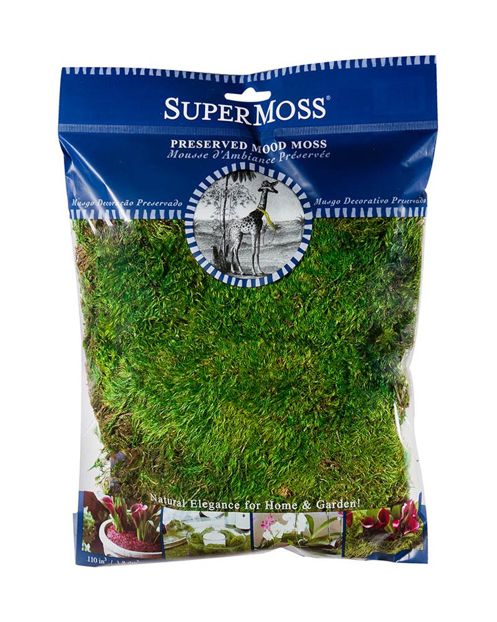 Preserved Mood Moss