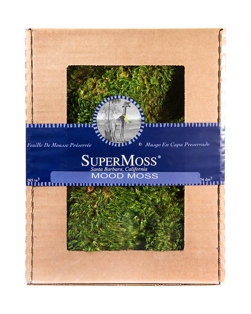 Preserved Mood Moss