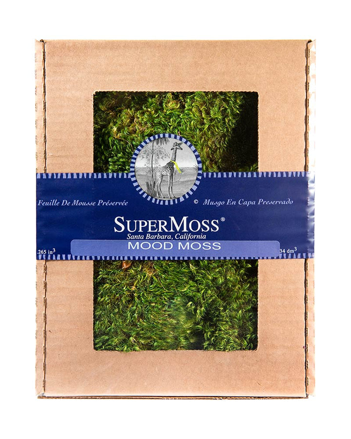 Preserved Mood Moss