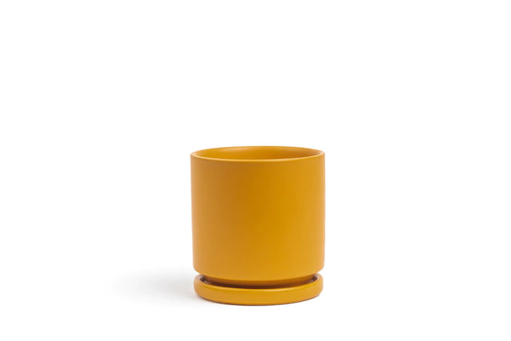 Cylinder Pot with Saucer