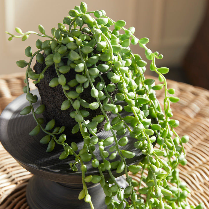 Faux String of Pearls