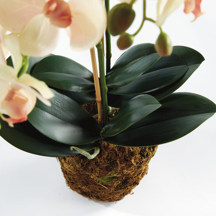 23" Faux Orchid - Pink