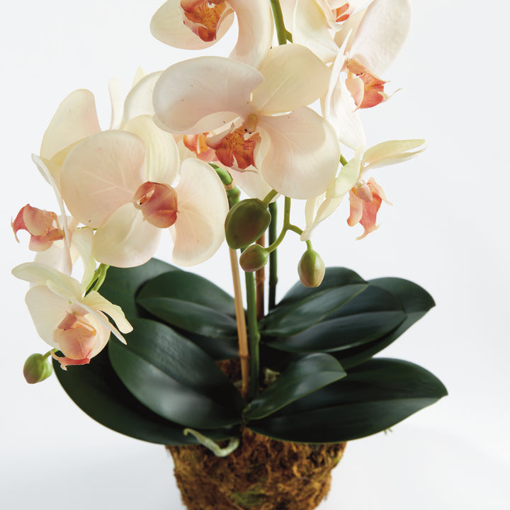 23" Faux Orchid - Pink