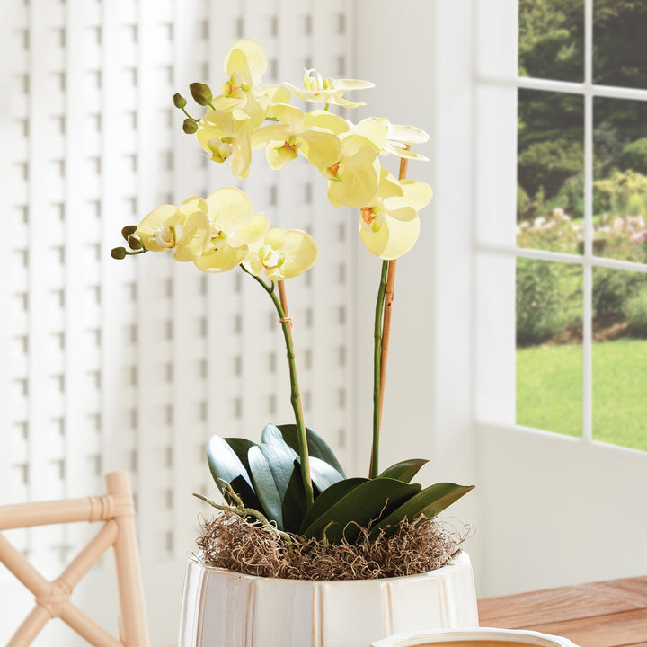 23" Faux Orchid - Yellow