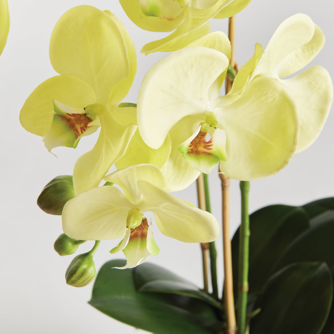 23" Faux Orchid - Yellow