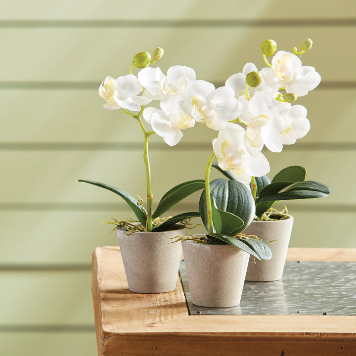 Faux Mini Orchids - Set of 12