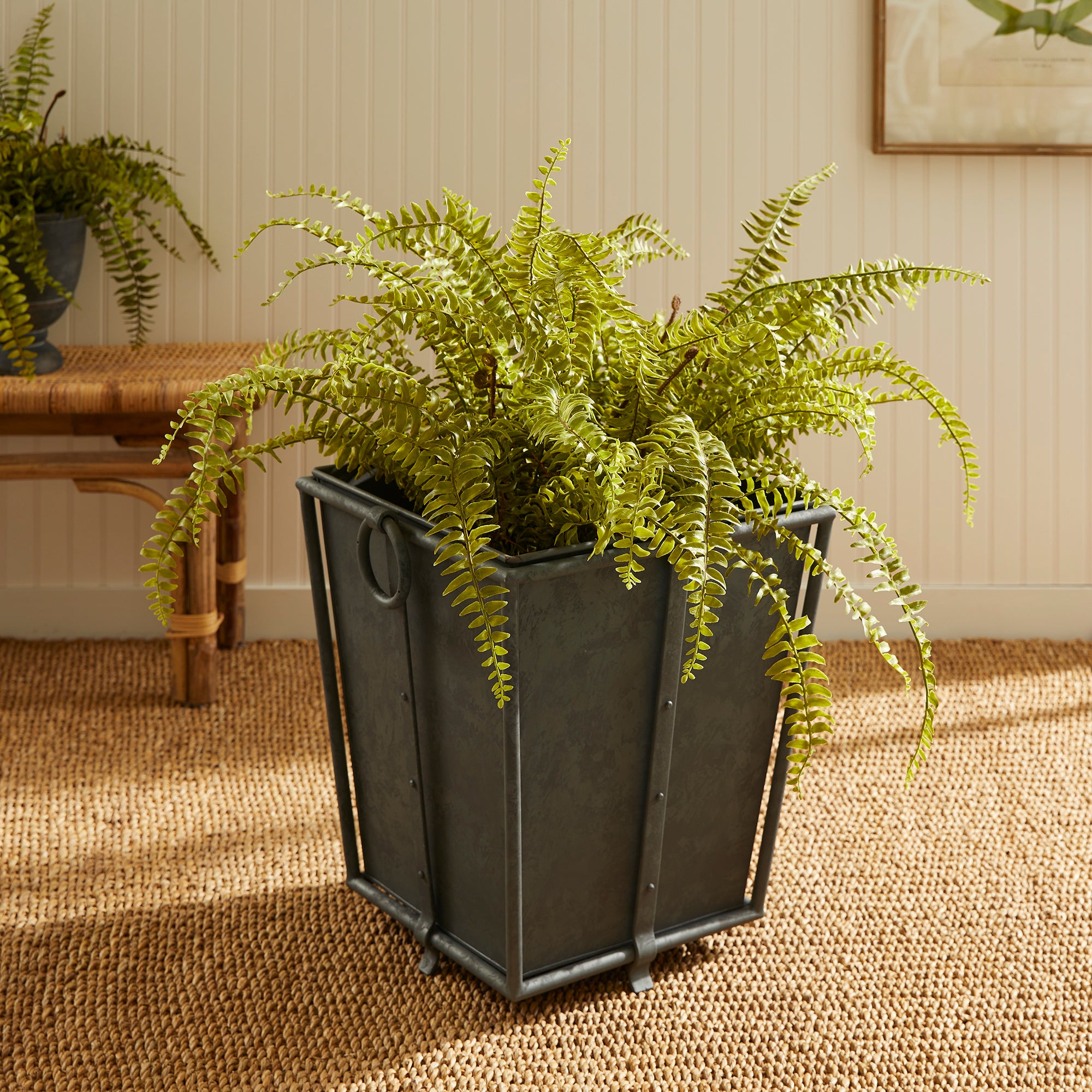 The Old Yew Plant Shop Tapered Iron Planter - Thumbnail 2