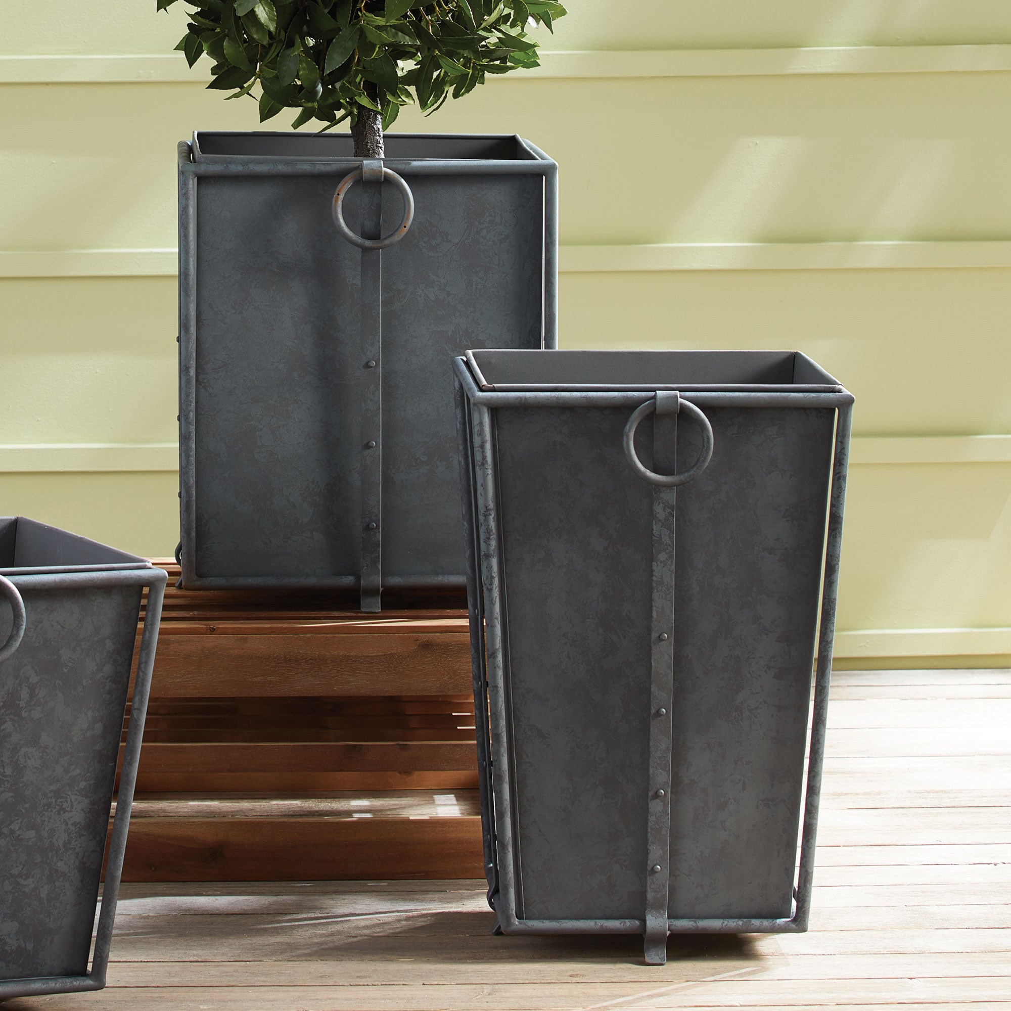 The Old Yew Plant Shop Tapered Iron Planter - Thumbnail 5