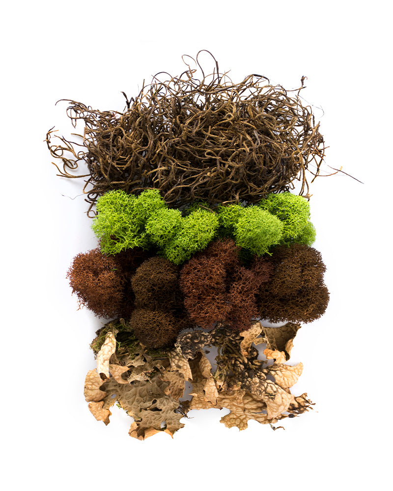 Moss Mix