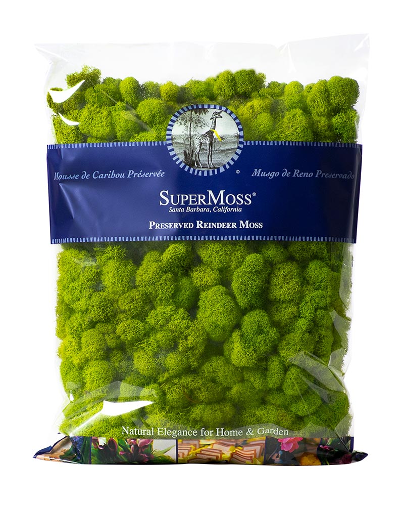 Reindeer Moss