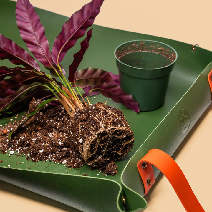 Repotting Mat