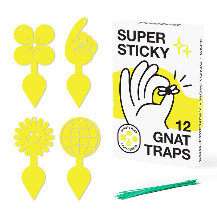 Fungus Gnat Sticky Traps