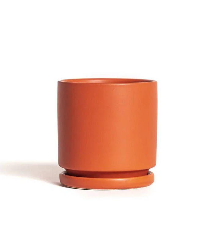 Cylinder Pot with Saucer