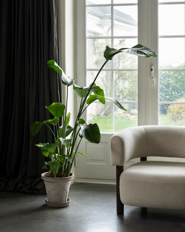 Arch Pot