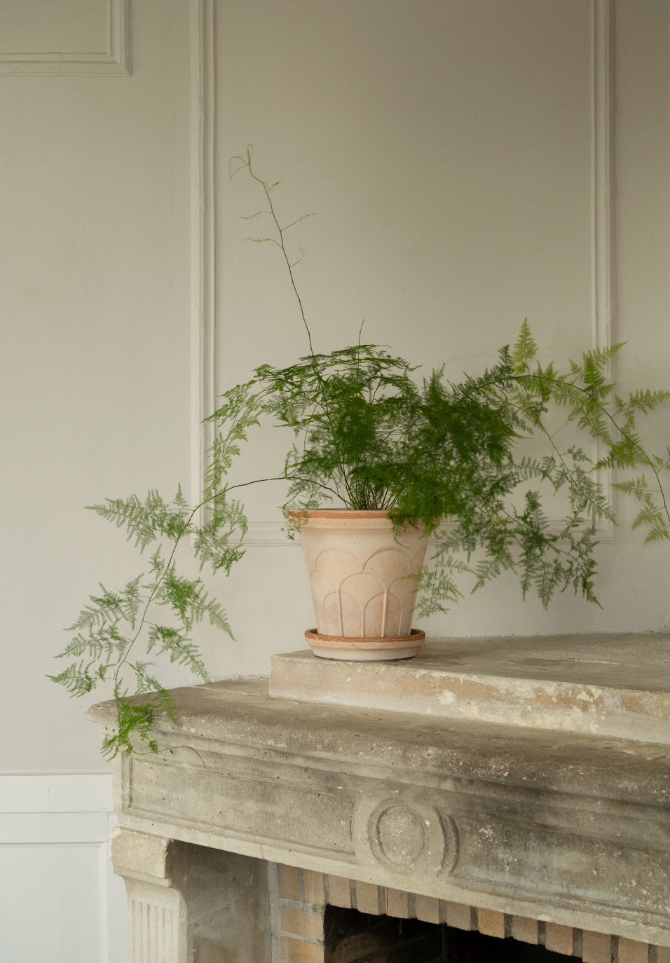 Arch Pot