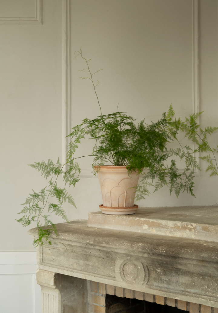 Arch Pot