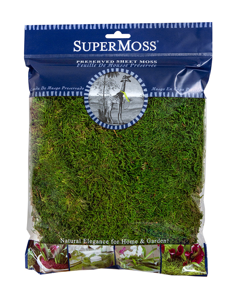 Preserved Sheet Moss
