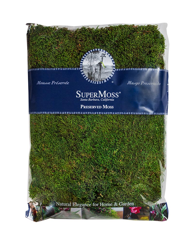 Preserved Sheet Moss