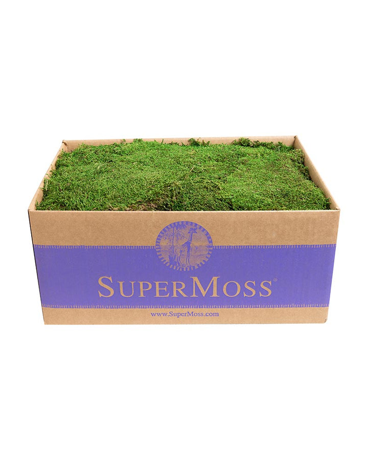 Preserved Sheet Moss