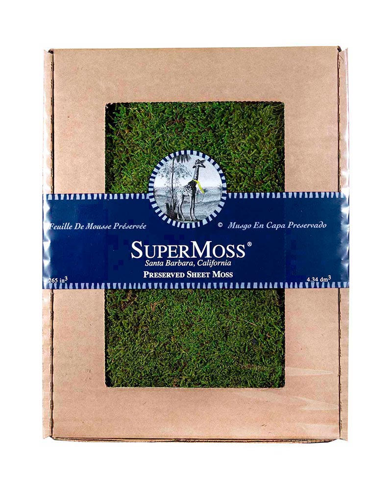 Preserved Sheet Moss