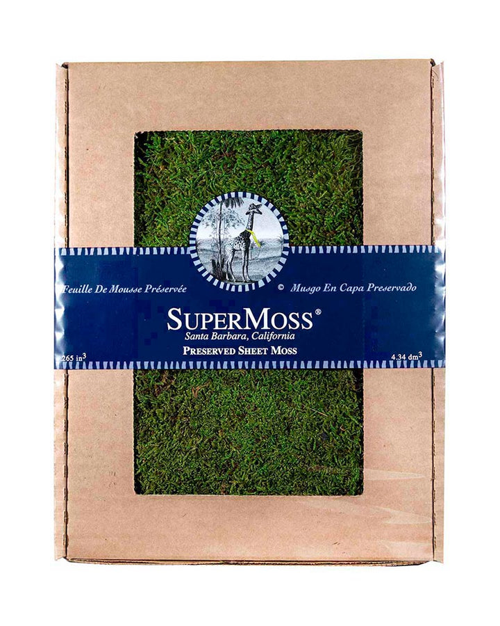 Preserved Sheet Moss