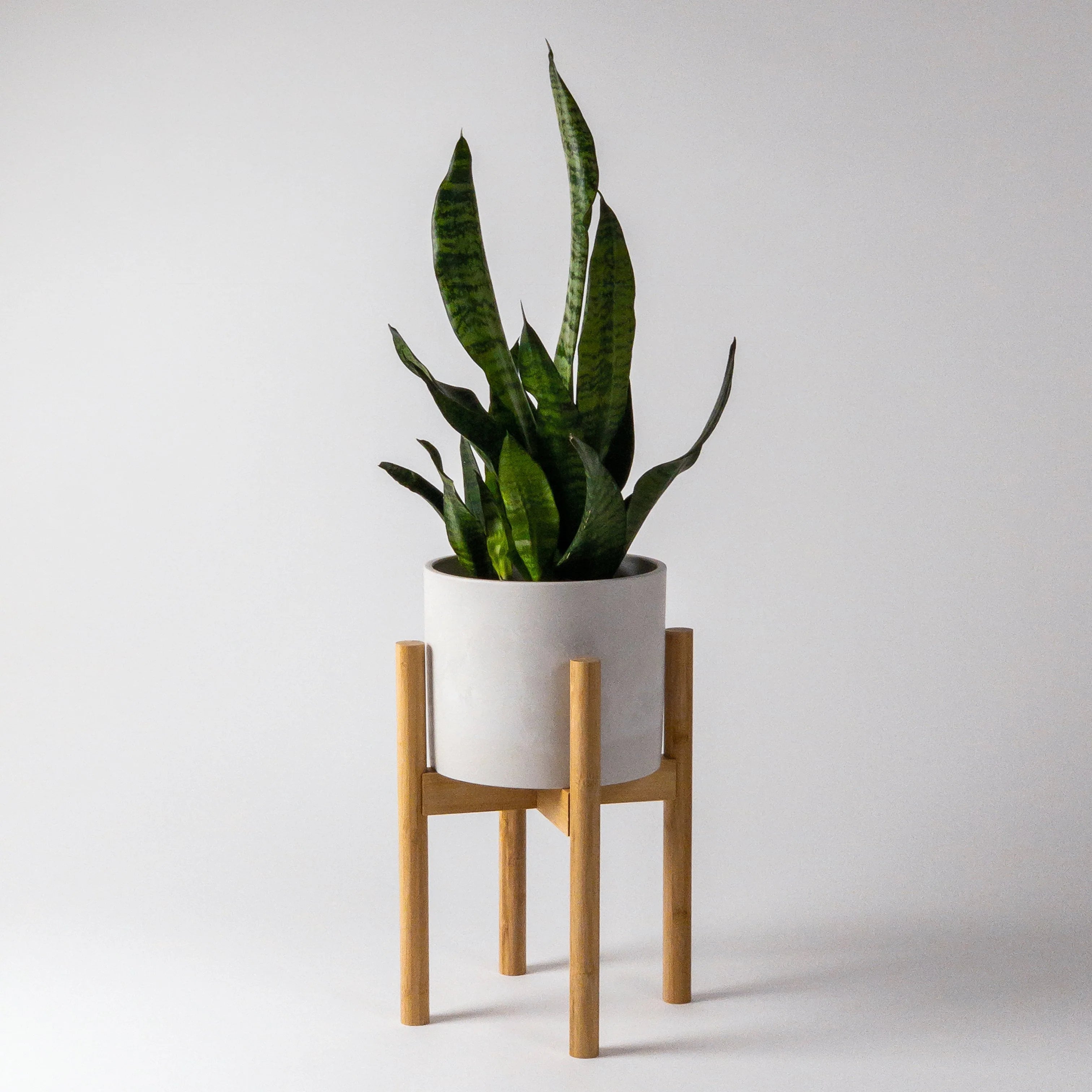 Bamboo Plant Stand - Thumbnail 4