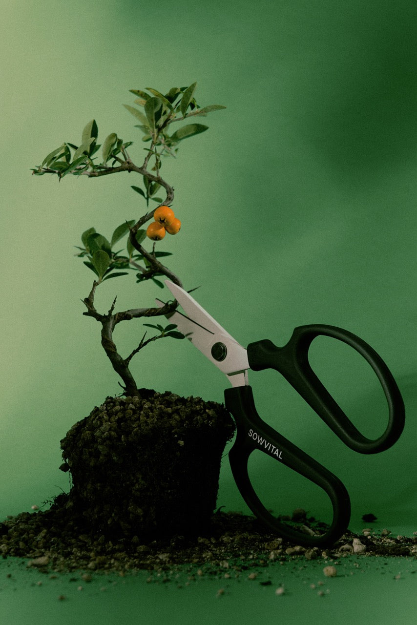 house plant scissors Sowvital Houseplant Pruning Scissors