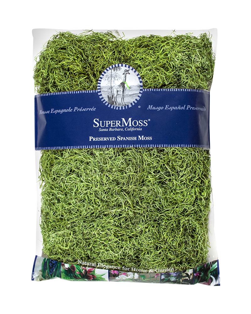 Spanish Moss