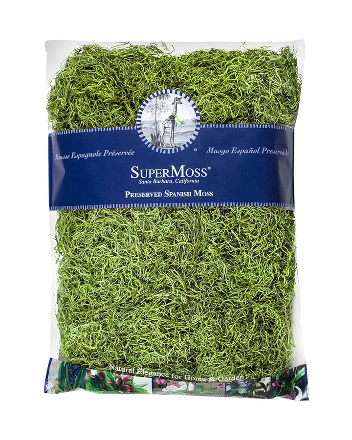 Spanish Moss