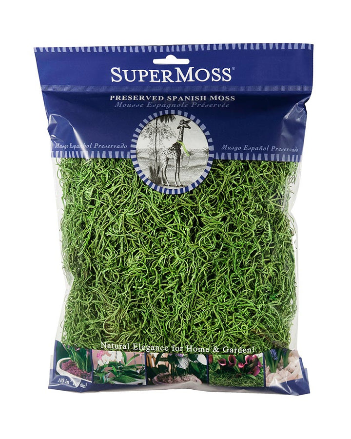 Spanish Moss