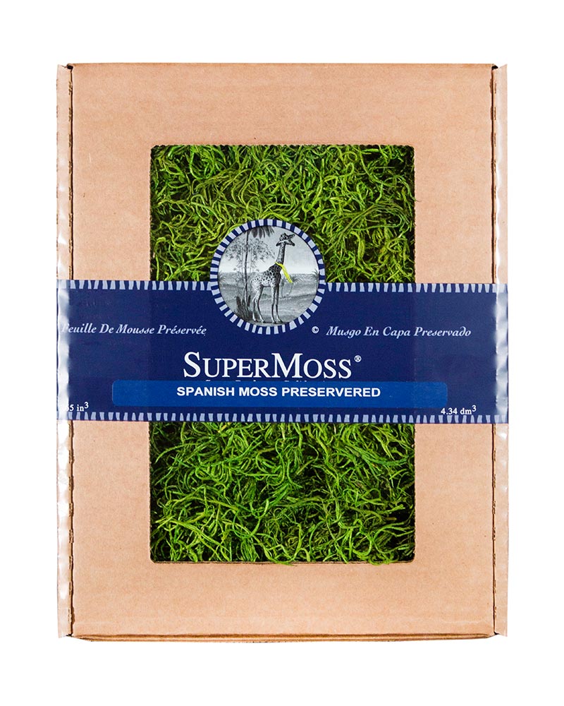Spanish Moss