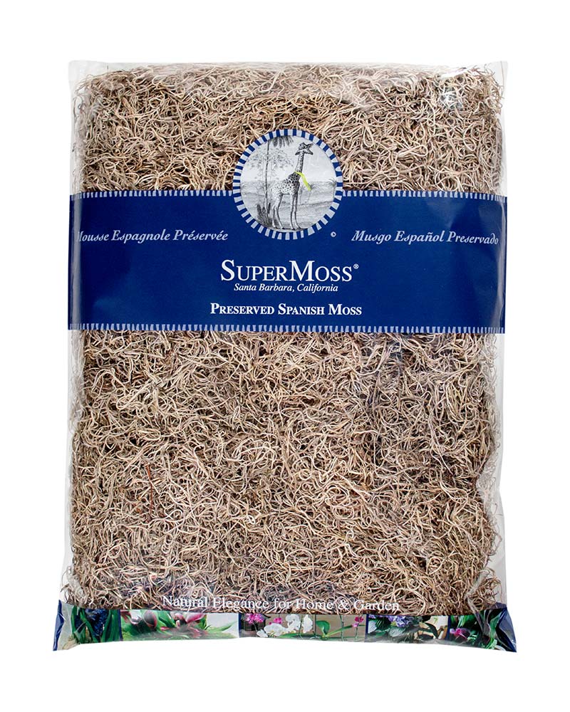 Spanish Moss