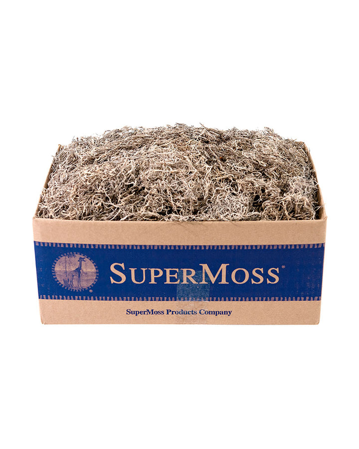 Spanish Moss