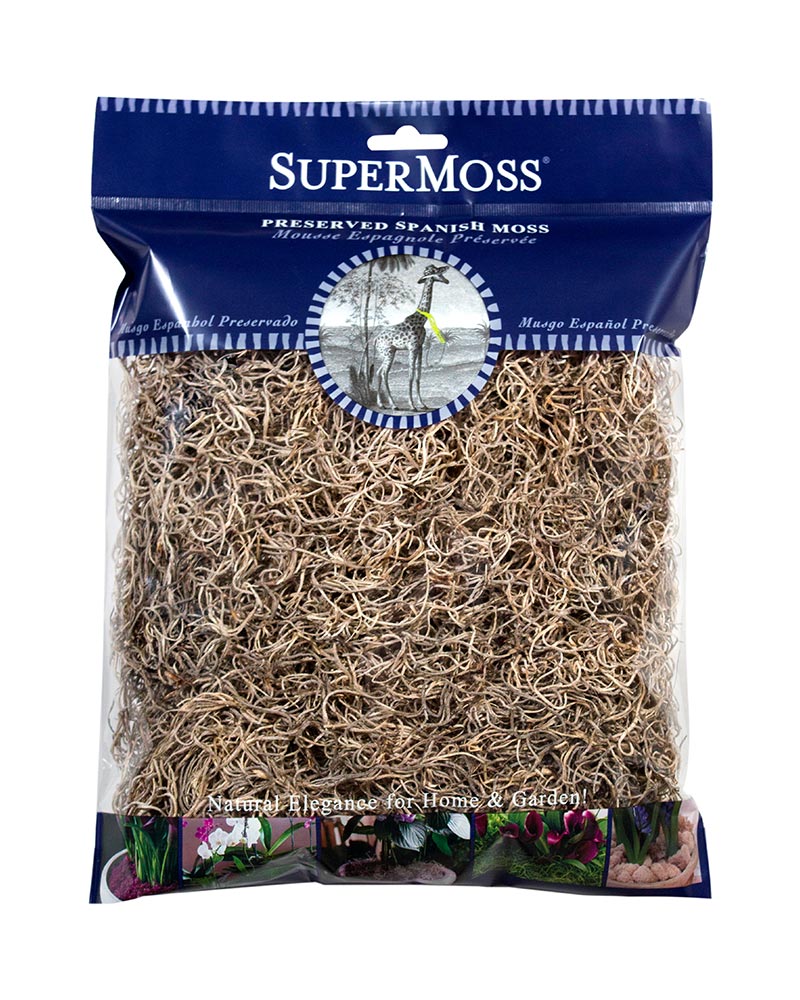Spanish Moss