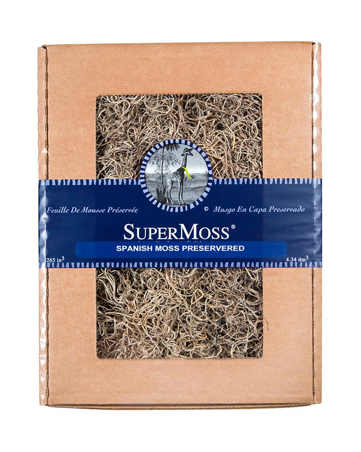 Spanish Moss