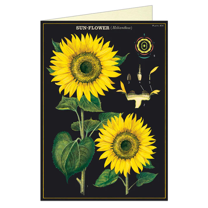 Cavallini Greeting Card